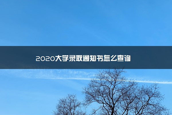 2020大学录取通知书怎么查询