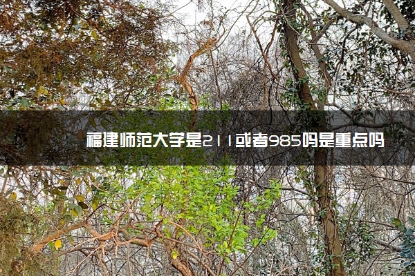 福建师范大学是211或者985吗是重点吗