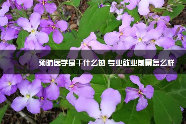 预防医学是干什么的 专业就业前景怎么样