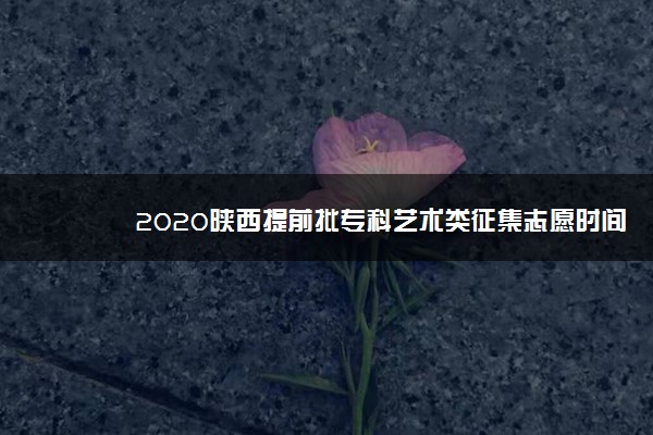 2020陕西提前批专科艺术类征集志愿时间及学校