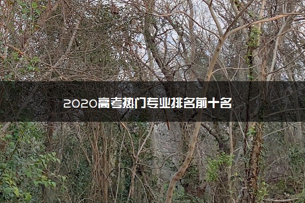 2020高考热门专业排名前十名