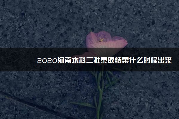 2020河南本科二批录取结果什么时候出来