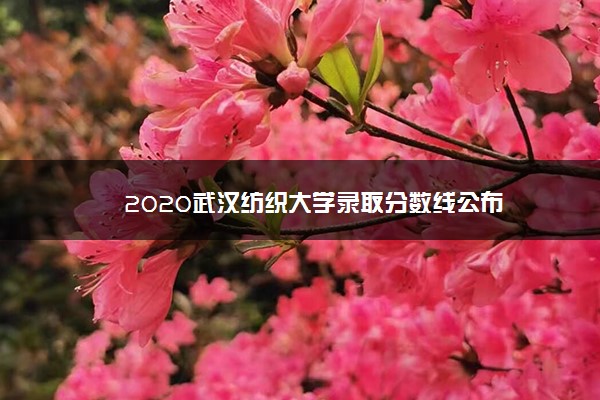 2020武汉纺织大学录取分数线公布