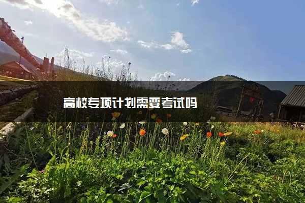 高校专项计划需要考试吗