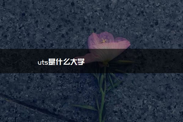 uts是什么大学