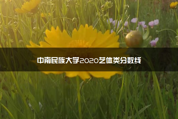 中南民族大学2020艺体类分数线