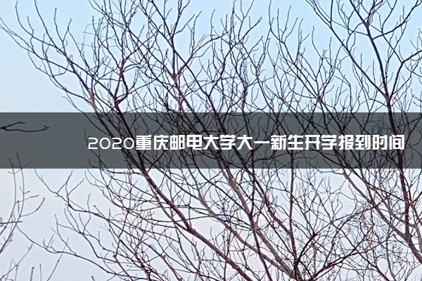 2020重庆邮电大学大一新生开学报到时间