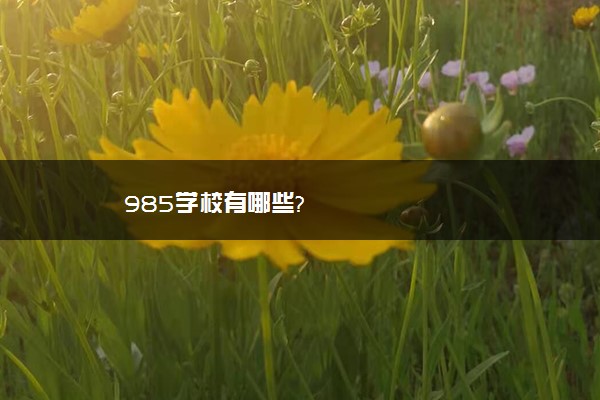 985学校有哪些?