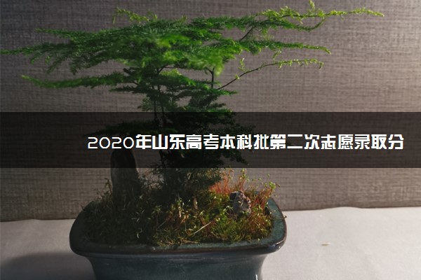 2020年山东高考本科批第二次志愿录取分数线