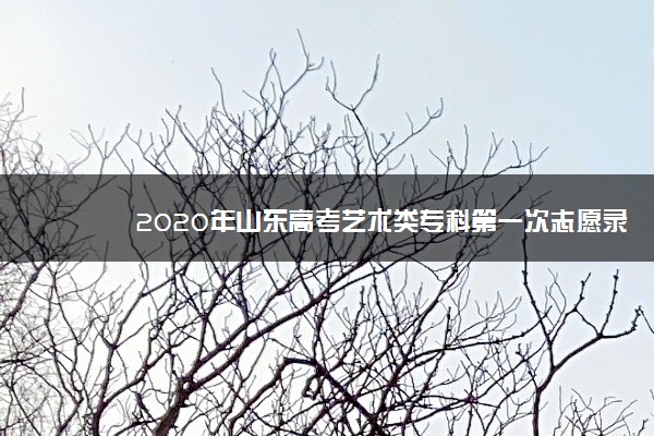 2020年山东高考艺术类专科第一次志愿录取分数线（美术）