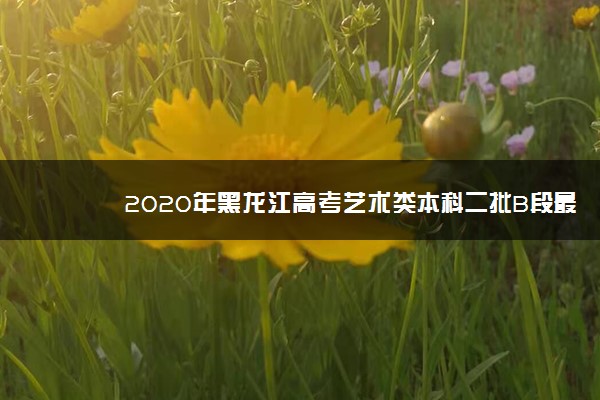 2020年黑龙江高考艺术类本科二批B段最后一次征集志愿填报时间