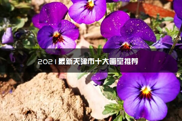 2021最新天津市十大画室推荐