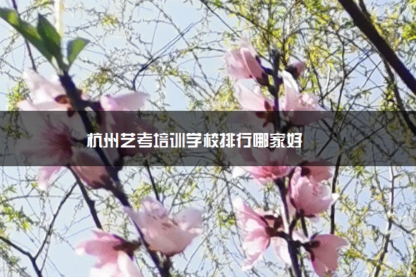 杭州艺考培训学校排行哪家好