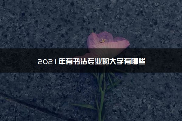 2021年有书法专业的大学有哪些