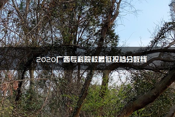 2020广西专科院校最低投档分数线