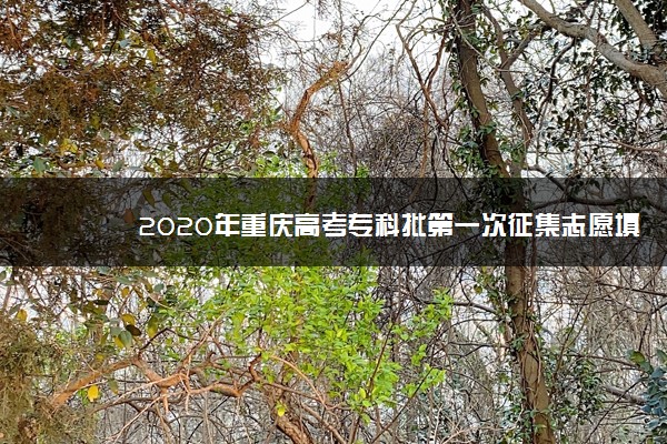 2020年重庆高考专科批第一次征集志愿填报时间