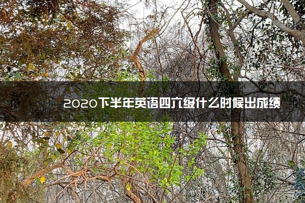 2020下半年英语四六级什么时候出成绩