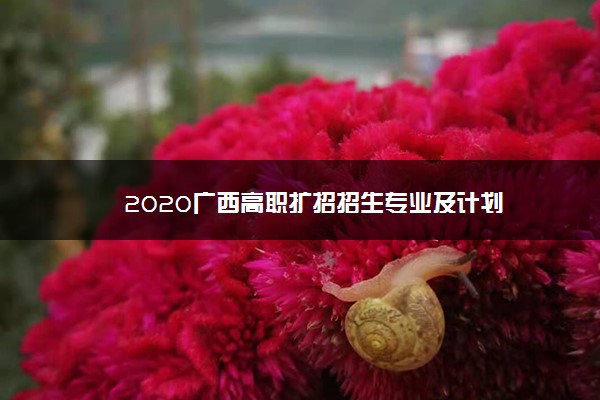 2020广西高职扩招招生专业及计划