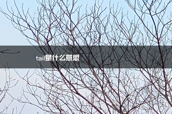 tail是什么意思