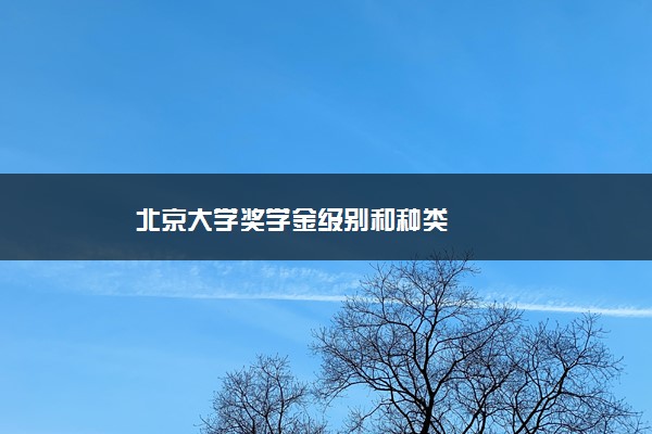 北京大学奖学金级别和种类