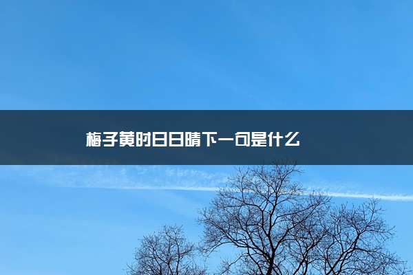 梅子黄时日日晴下一句是什么