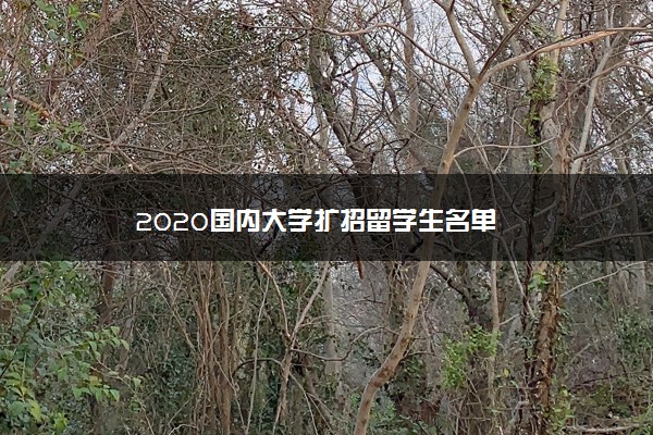 2020国内大学扩招留学生名单