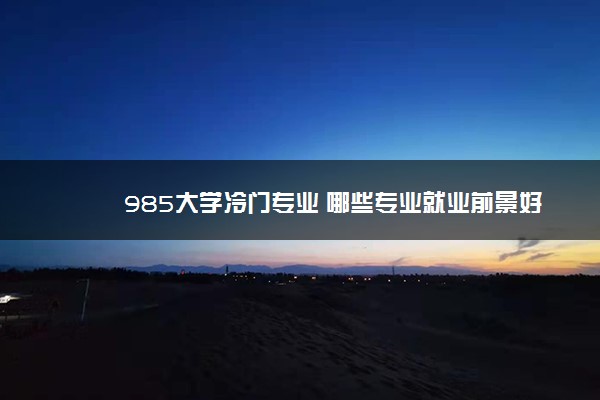 985大学冷门专业 哪些专业就业前景好