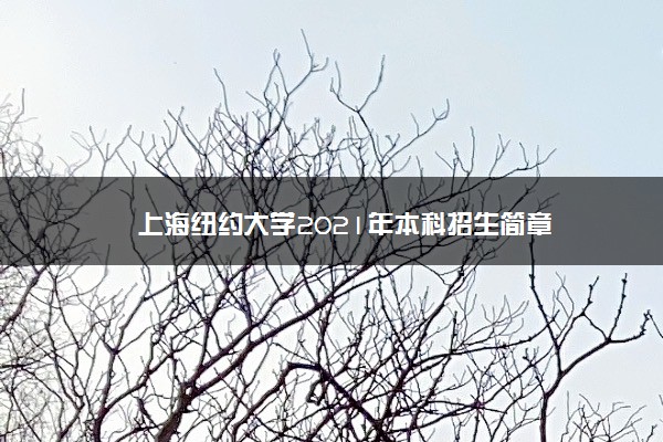 上海纽约大学2021年本科招生简章