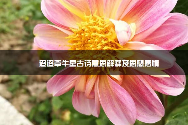 迢迢牵牛星古诗意思解释及思想感情