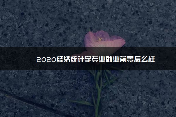 2020经济统计学专业就业前景怎么样