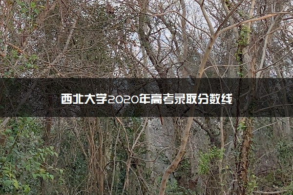 西北大学2020年高考录取分数线