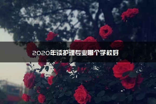 2020年读护理专业哪个学校好