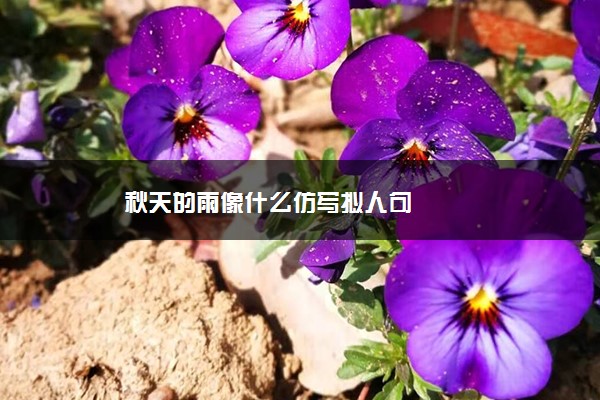 秋天的雨像什么仿写拟人句