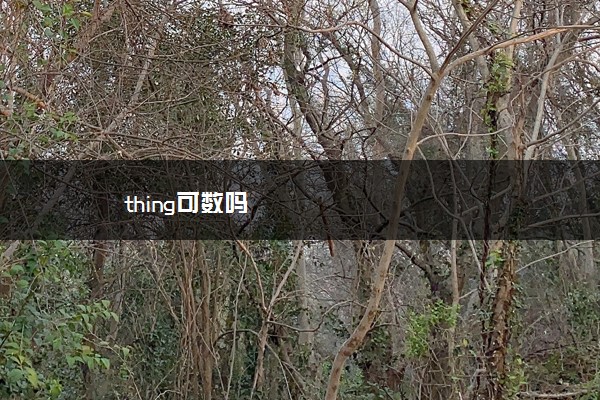 thing可数吗