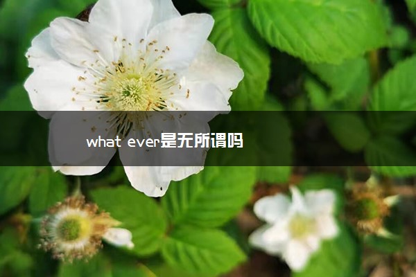 what ever是无所谓吗