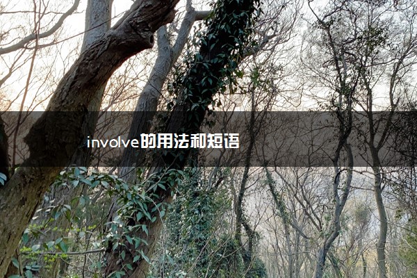 involve的用法和短语