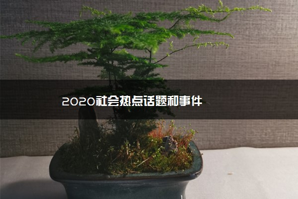 2020社会热点话题和事件