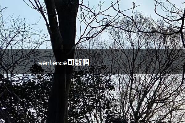 sentence可数吗