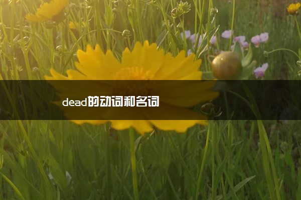 dead的动词和名词