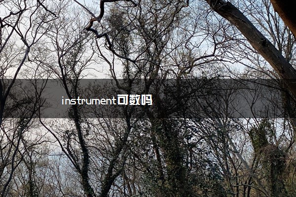 instrument可数吗