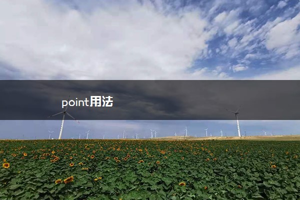 point用法