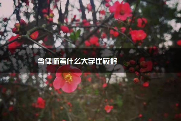 当律师考什么大学比较好