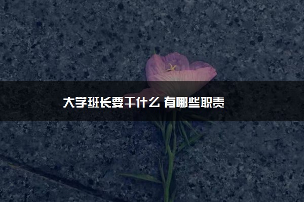 大学班长要干什么 有哪些职责