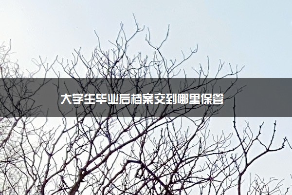 大学生毕业后档案交到哪里保管