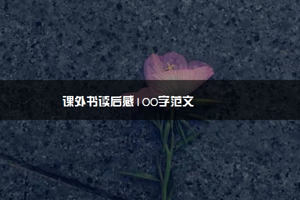 课外书读后感100字范文