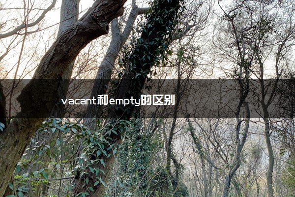 vacant和empty的区别