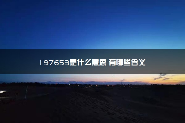 197653是什么意思 有哪些含义