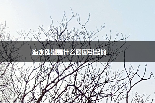 海水涨潮是什么原因引起的