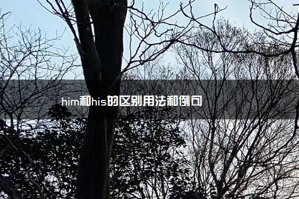 him和his的区别用法和例句