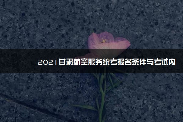 2021甘肃航空服务统考报名条件与考试内容